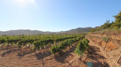 Land - Sale - La Romana - La Romana