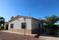 Sale - Finca - Crevillente