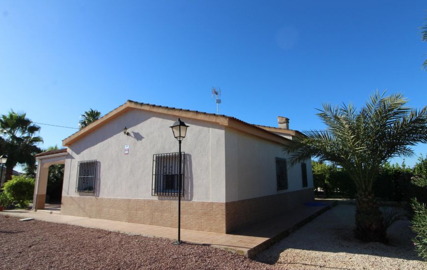 Sale - Finca - Crevillente