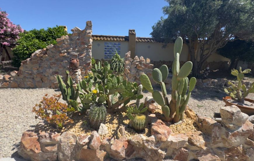 Venta - Casa Rural - Catral