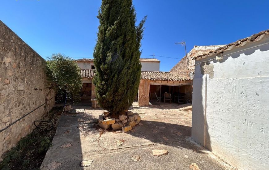 Sale - Finca - Hondon de los Frailes