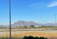 Sale -  - Almoradí - 