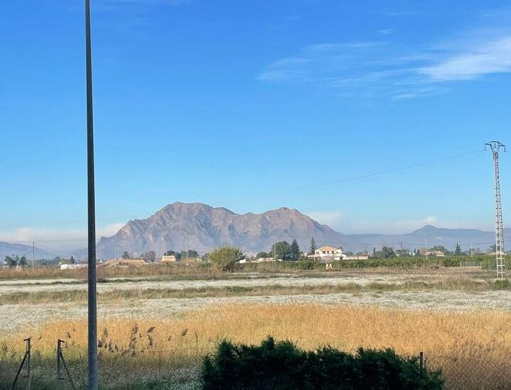 Sale -  - Almoradí - 