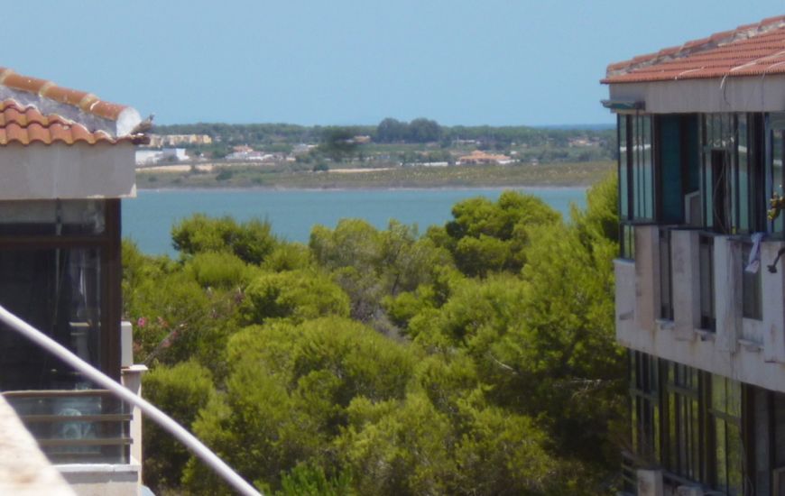 Sale - Apartments - Torrevieja
