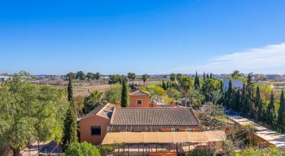 Finca - Sale - Catral - Catral