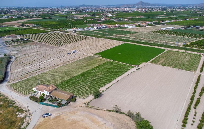 Sale - Country Property - Orihuela