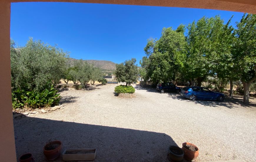 Sale - Finca - Salinas