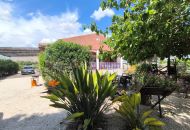 Sale - Finca - Orihuela