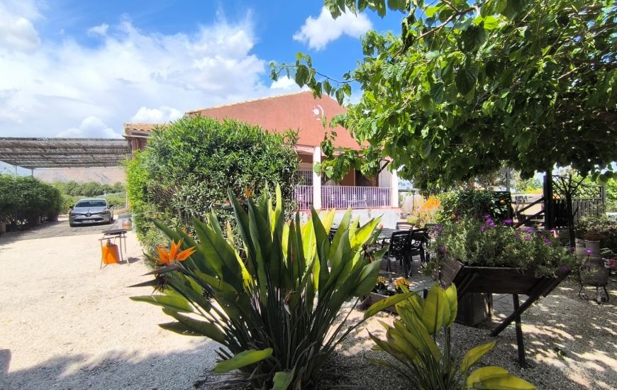 Sale - Finca - Orihuela