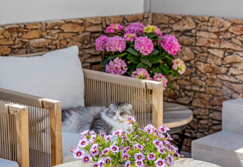 Sale - Townhouse - Alicante