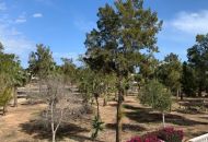 Sale - Apartments - Guardamar del Segura