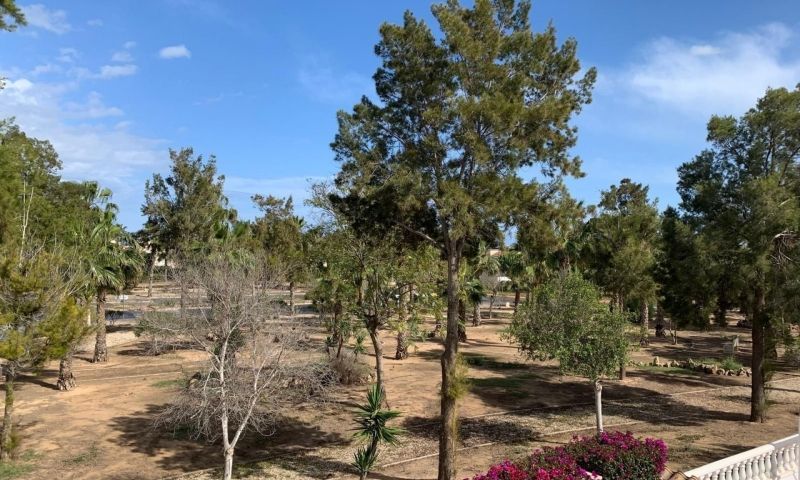 Sale - Apartments - Guardamar del Segura