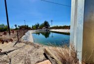 Sale -  - Los Montesinos - 