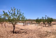Venta - Casa Rural - Pinoso