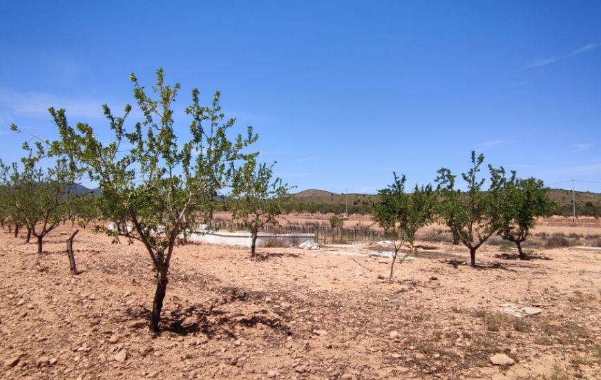 Venta - Casa Rural - Pinoso