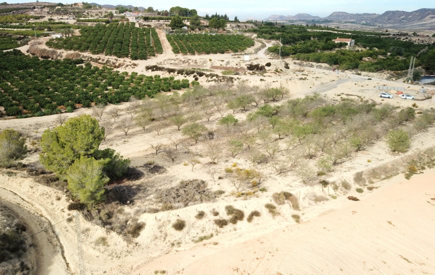 Sale - Land - Torremendo