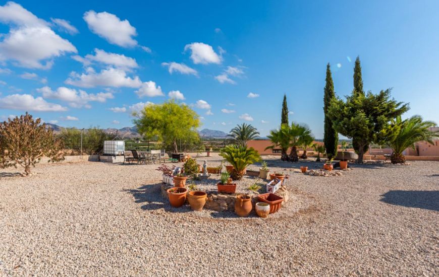 Venta - Casa Rural - Orihuela