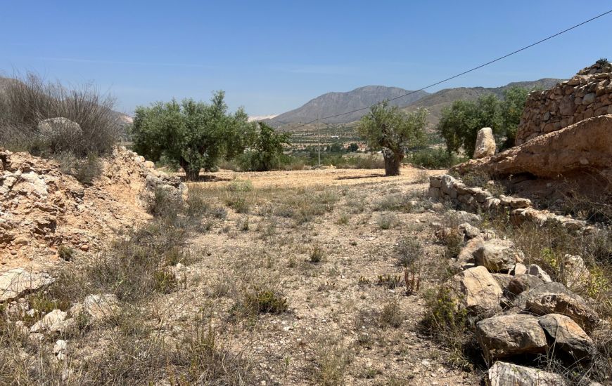 Sale - Land - Hondon de los Frailes