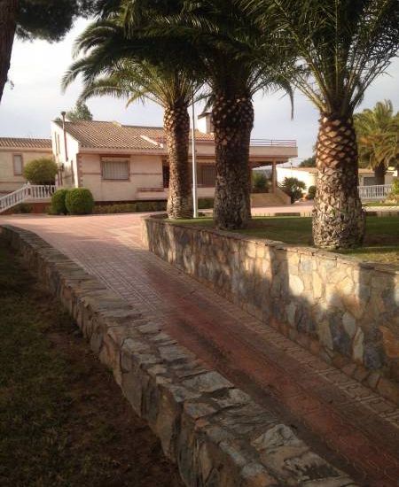 Sale - Finca - Sax