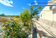 Sale - Finca - Abanilla