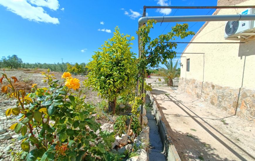 Sale - Finca - Abanilla