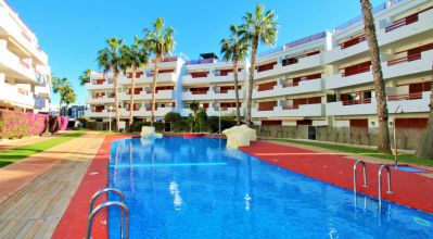 Apartamentos - Venta - Playa Flamenca - Playa Flamenca