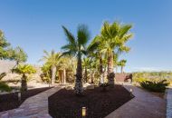 Venta - Villa - Orihuela Costa