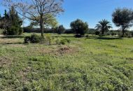 Venta - Apartamentos - Daya Nueva