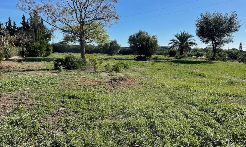 Venta - Apartamentos - Daya Nueva