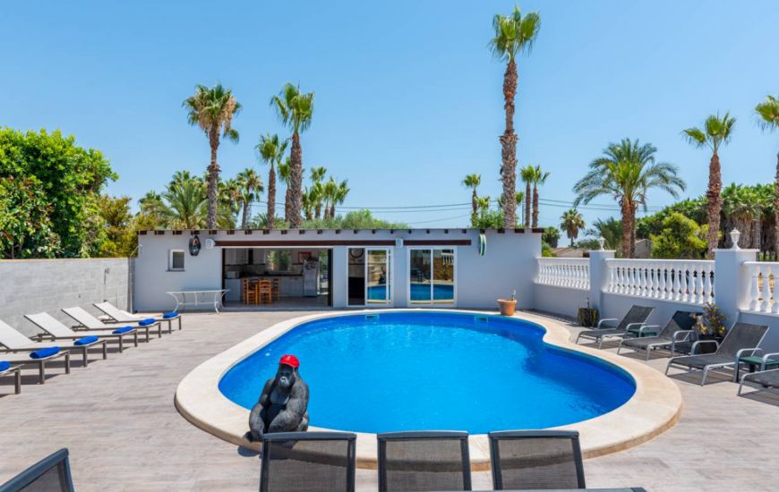 Venta - Casa Rural - Catral