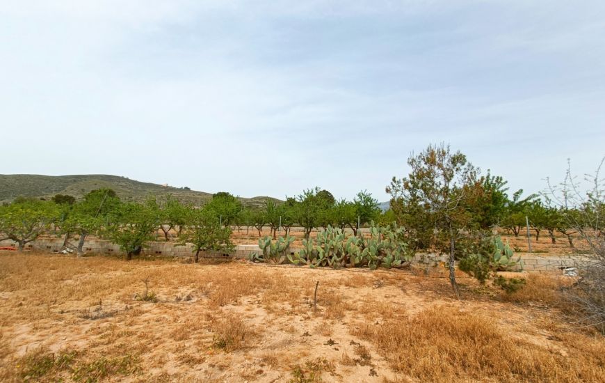 Sale - Villa - Hondon de los Frailes
