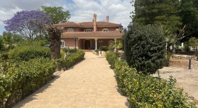 Villa - Venta - Orihuela - Orihuela