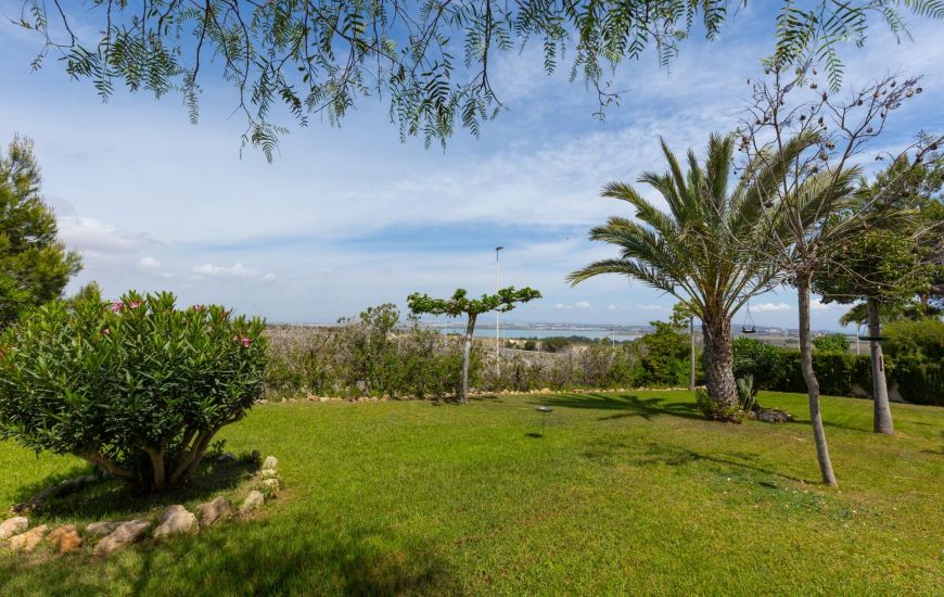 Sale - Apartments - Torrevieja