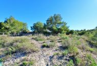 Sale -  - San Miguel de Salinas - 