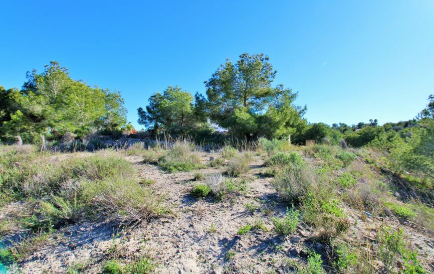 Sale -  - San Miguel de Salinas - 