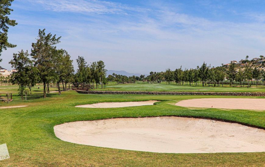 New Build - Villa - Rojales