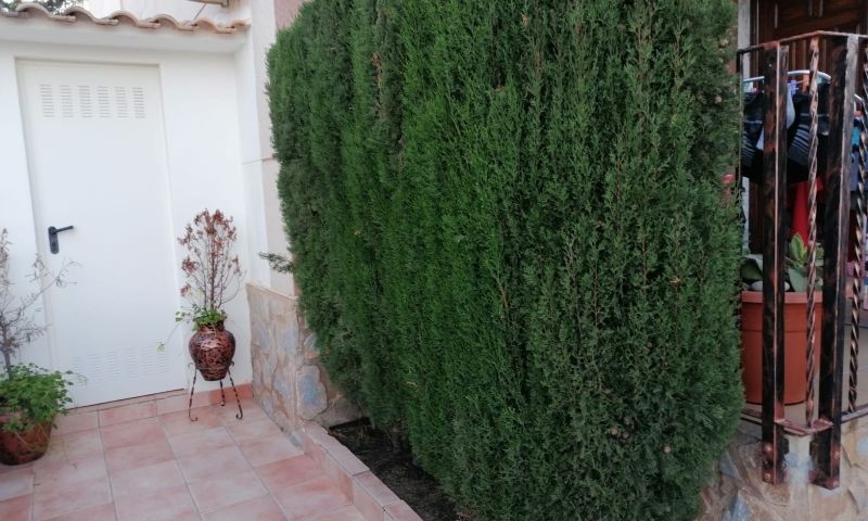 Sale - Duplex - Pilar de la Horadada