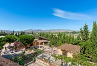 Sale - Country estate - Crevillente