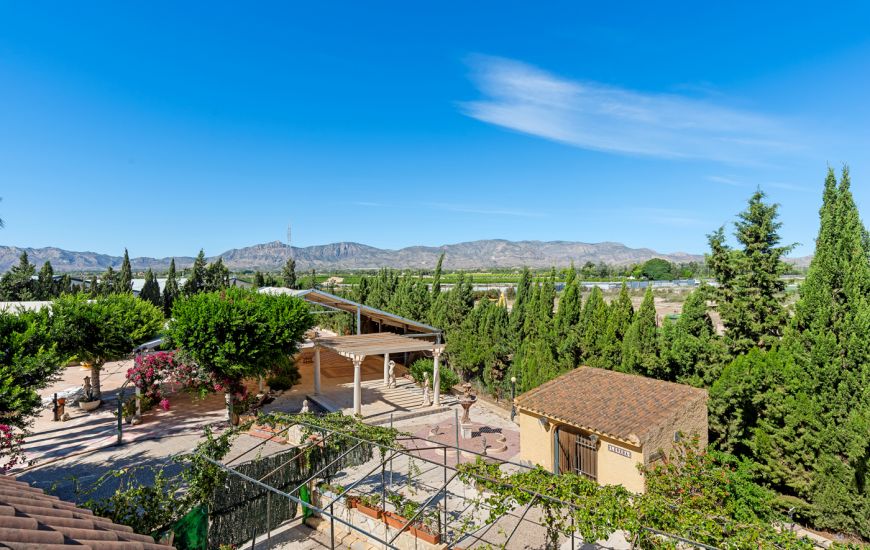 Sale - Country estate - Crevillente