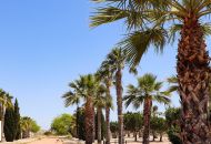 Nueva construcción  - Villa - San Fulgencio