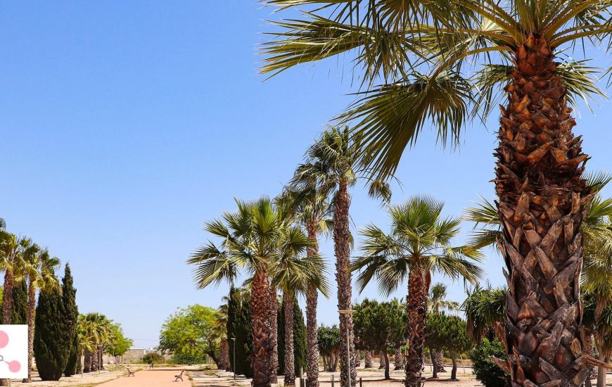 Nueva construcción  - Villa - San Fulgencio