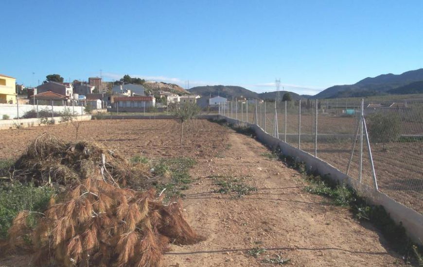 Sale - Finca - Hondon de los Frailes