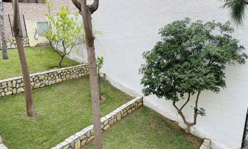 Venta - Apartamentos - 