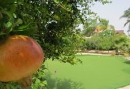 Venta - Casa Rural - Dolores