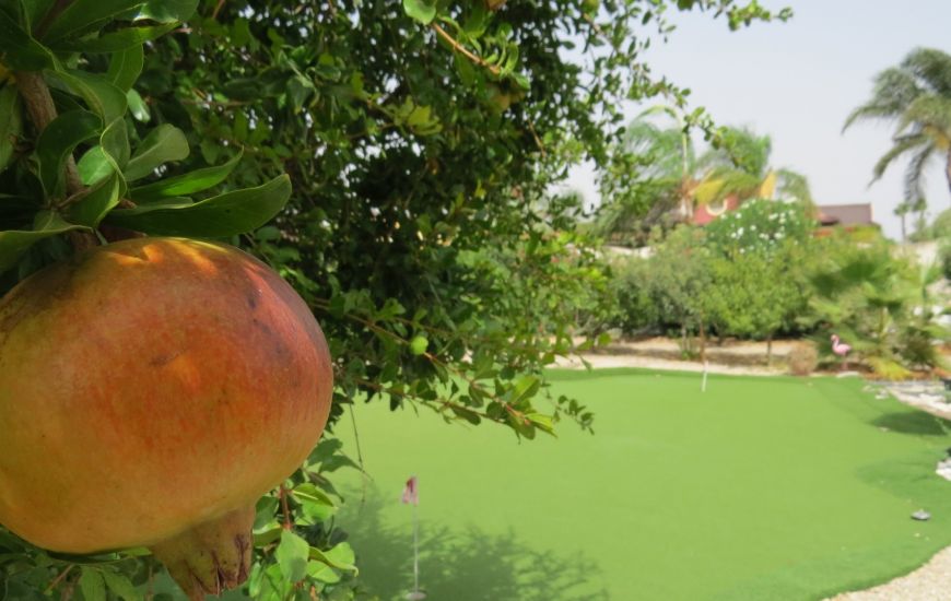 Venta - Casa Rural - Dolores