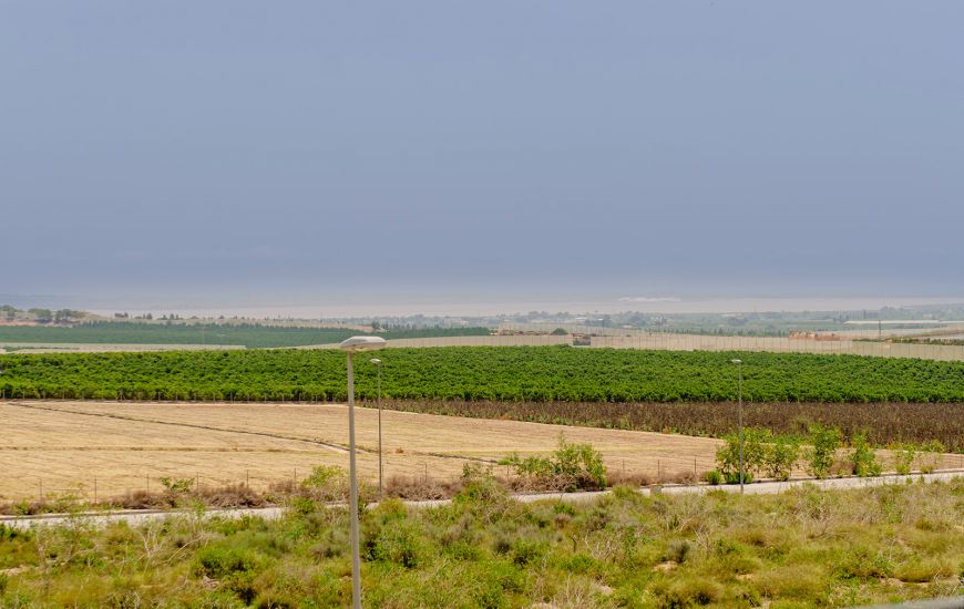 Nueva construcción  - Villa - Los Montesinos