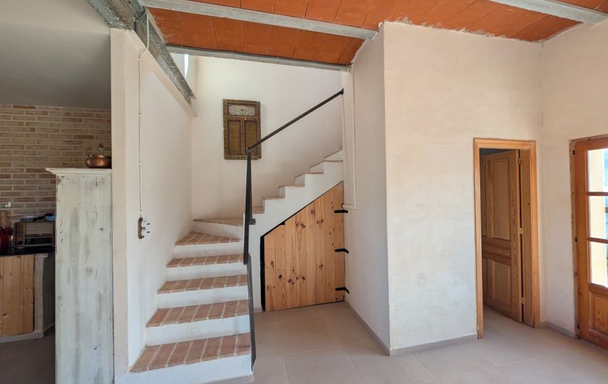 Sale - Finca - Salinas