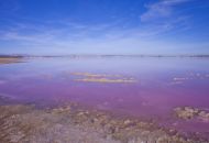 Sale - Villa - Los Altos