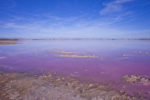 Sale - Villa - Los Altos