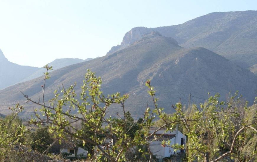 Sale - Land - Murcia